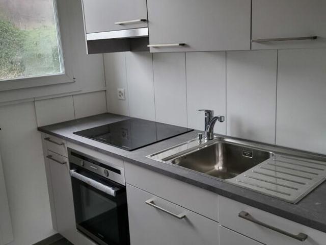 Apartment mieten in Möriken-Wildegg