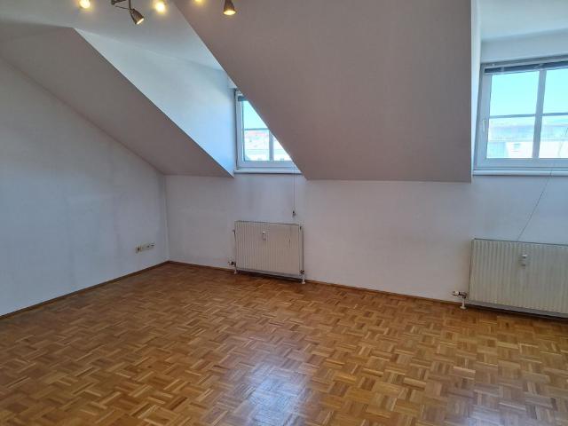 Apartment mieten in Linz, Altstadtviertel