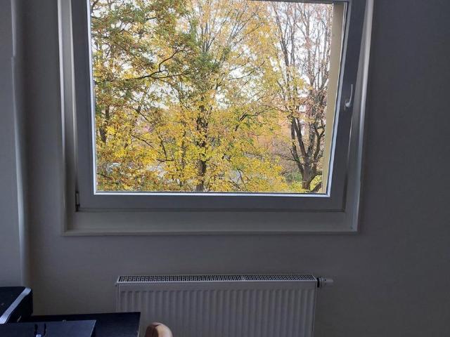 Apartment mieten in Gievenbeck, Munster
