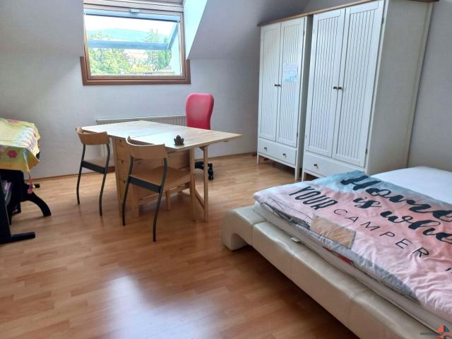 Wohnung kaufen in Baden, Niederösterreich