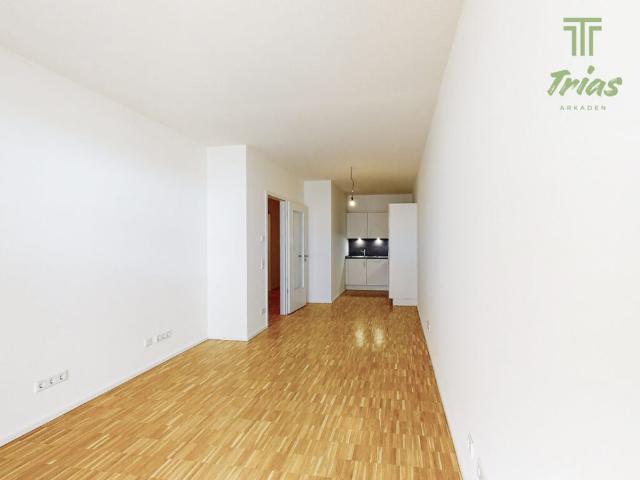 Apartment mieten in Mainz, Rheinland-Pfalz