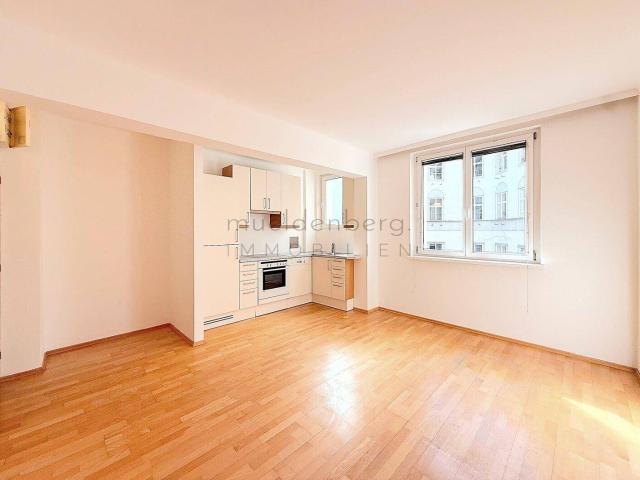 Apartment mieten in KG Innere Stadt, Wien