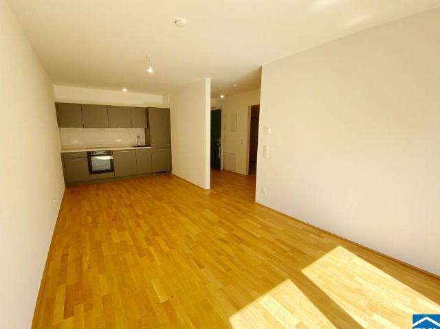 Wohnung mieten in KG Simmering, Wien