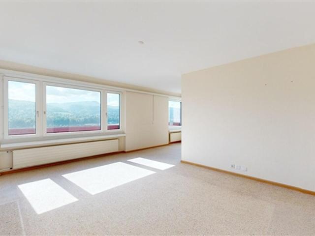 Wohnung kaufen in Reinach (BL), Basel-Landschaft