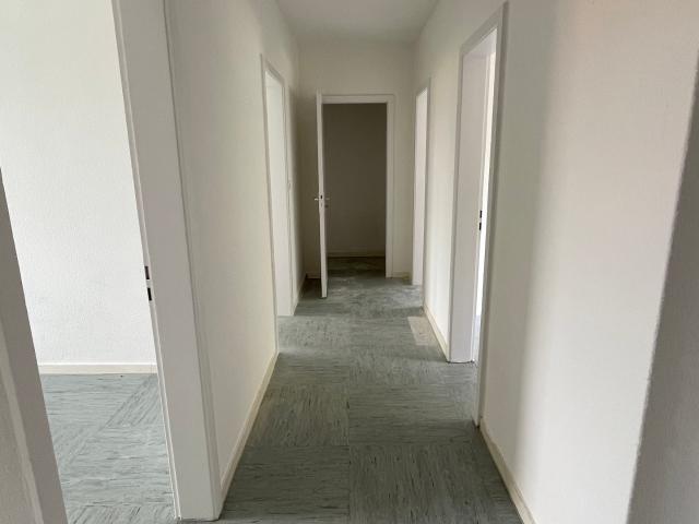 Apartment mieten in Ellerau, Schleswig-Holstein