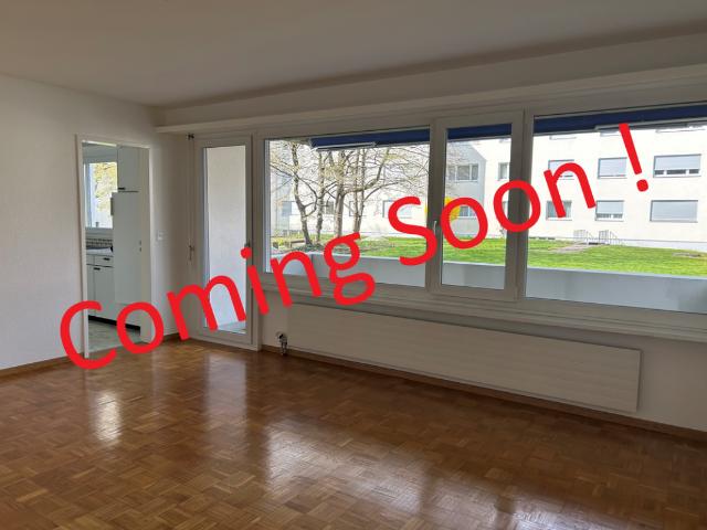 Apartment mieten in Aesch (BL), Basel-Landschaft