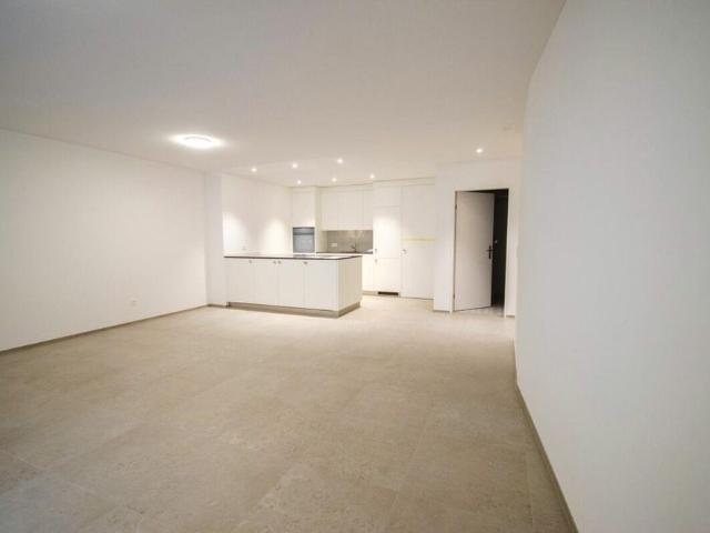 Apartment mieten in Lichtensteig, Wahlkreis Toggenburg