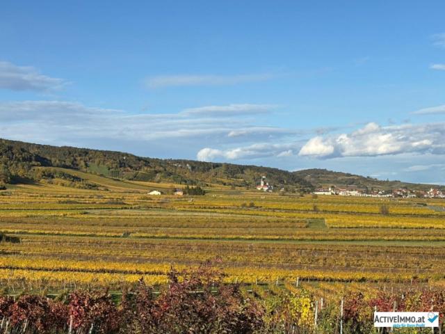 Erdgeschosswohnung mieten in Thallern, Gumpoldskirchen