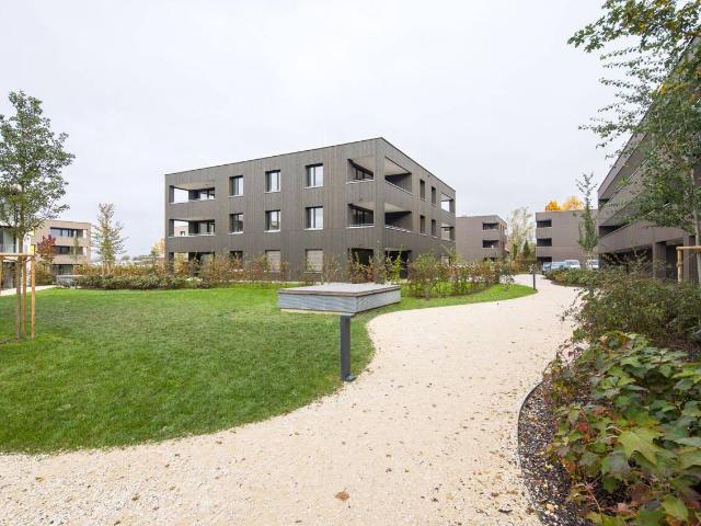 Apartment kaufen in Höchst