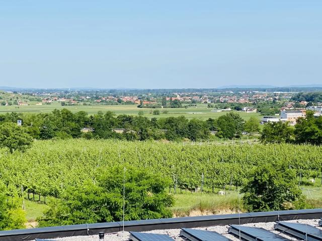 Apartment mieten in Am Steindl, Krems an der Donau
