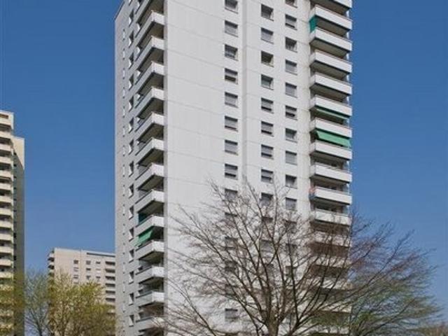 Apartment mieten in Birsfelden, Basel-Landschaft