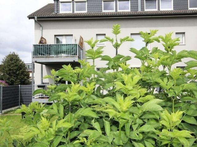 Dachgeschosswohnung kaufen in Kückhoven, Erkelenz