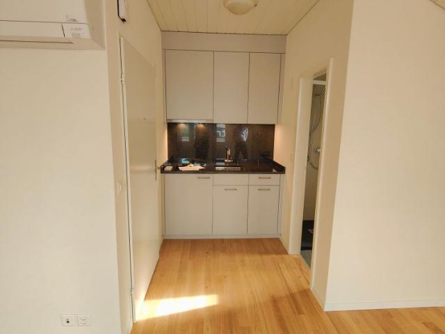 Apartment mieten in Brüttisellen, Wangen-Brüttisellen