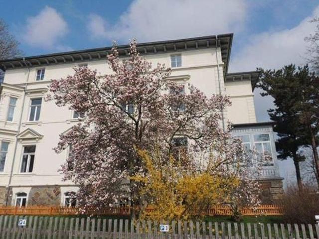 Wohnung mieten in Werdau, Sachsen