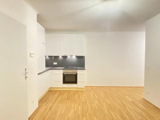 Apartment mieten in Stein an der Donau, Krems an der Donau