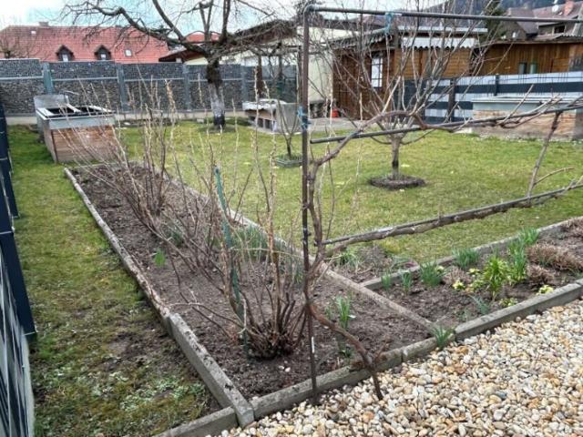 Wohnung kaufen in Wartberg im Mürztal, Steiermark