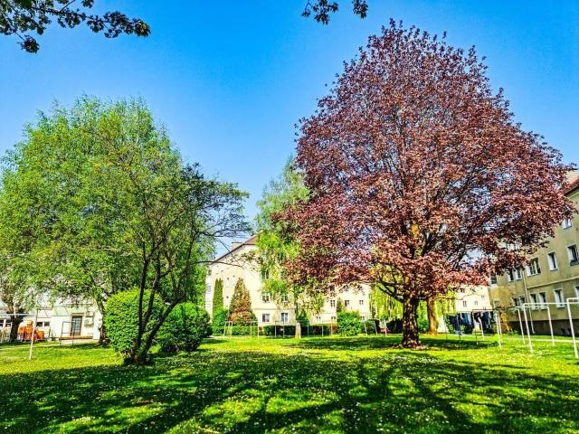Apartment mieten in Innsbruck, Tirol
