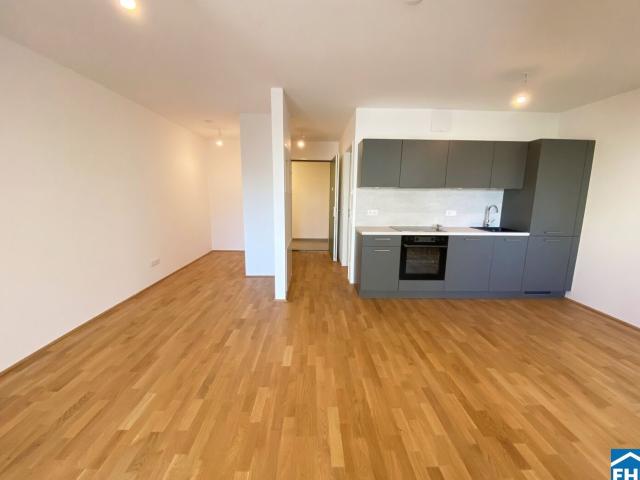 Apartment mieten in KG Innere Stadt, Wien