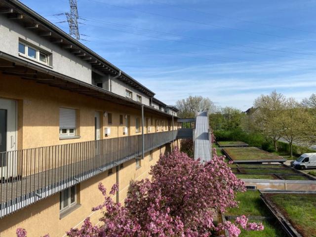 Apartment mieten in Schalke, Gelsenkirchen