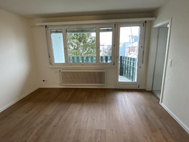 Apartment mieten in Stelzenacker, Dietikon