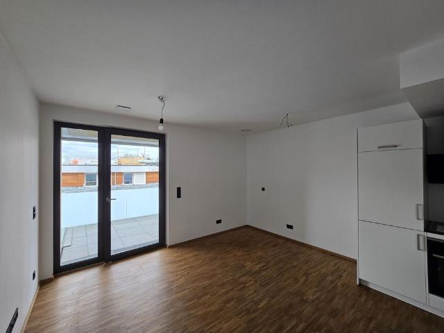 Apartment mieten in Dresden, Sachsen