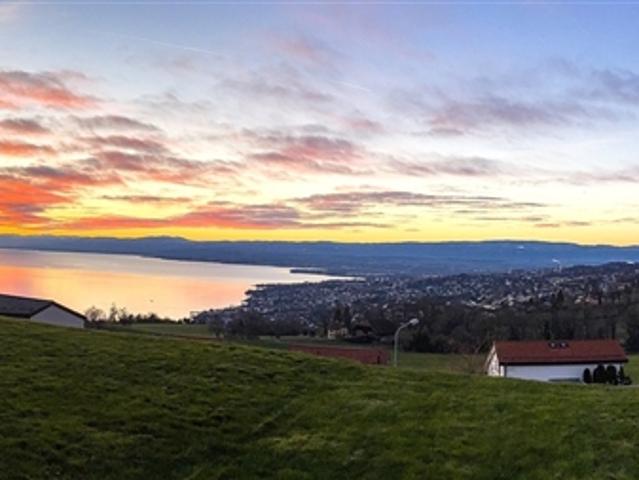 Reihenfamilienhaus kaufen in Bourg-en-Lavaux, Waadt