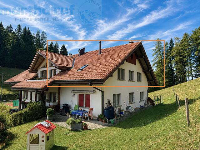 Wohnung kaufen in Heiligenschwendi, Bern