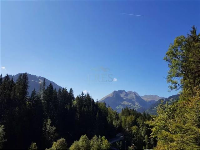 Wohnung kaufen in Saanen, Bern