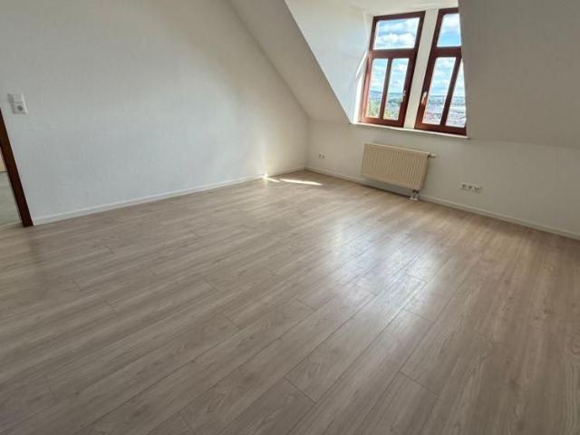 Apartment mieten in Schloßchemnitz, Chemnitz