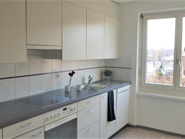 Apartment mieten in Untersiggenthal, Aargau