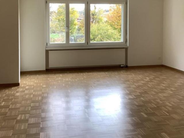 Apartment mieten in Tüfi, Adliswil