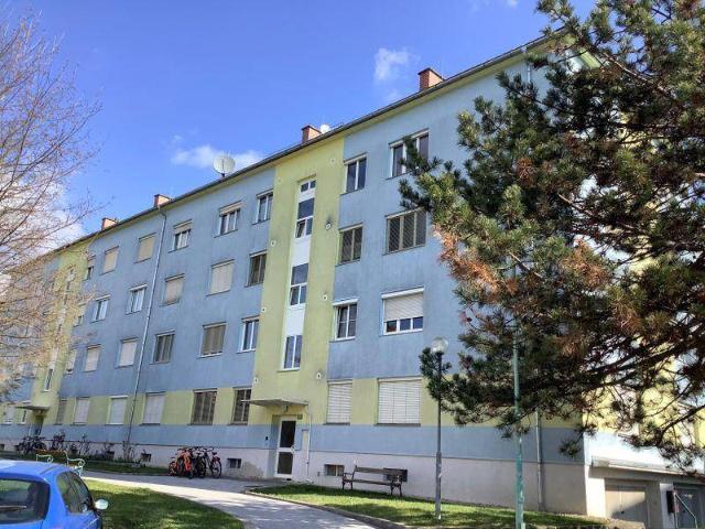 Apartment mieten in Radmannsdorf, Weiz
