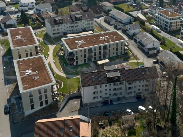 Wohnung mieten in Roggwil (BE), Verwaltungsregion Emmental-Oberaargau