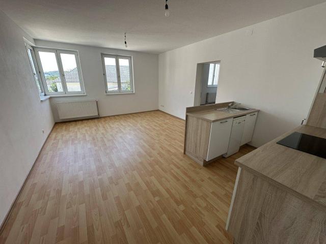 Apartment mieten in Zelking-Matzleinsdorf, Niederösterreich