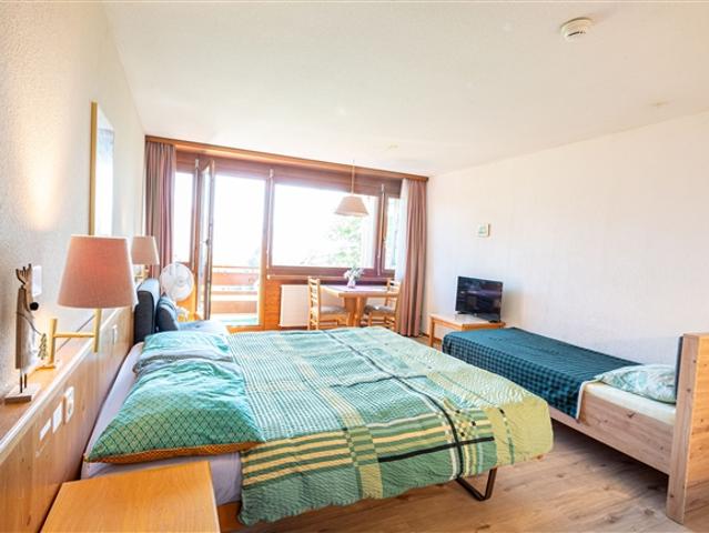 Wohnung kaufen in Aeschi bei Spiez, Bern