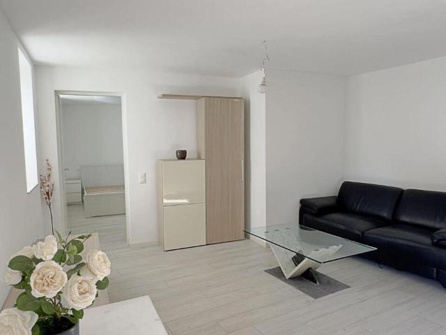 Wohnung kaufen in Monteceneri, Tessin