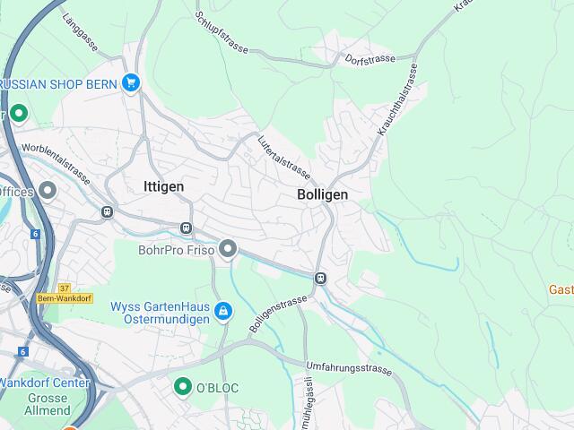 Haus kaufen in Bolligen
