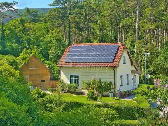 Haus kaufen in Berndorf, Niederösterreich