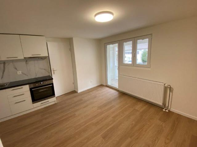 Apartment mieten in Fehraltorf, Bezirk Pfäffikon