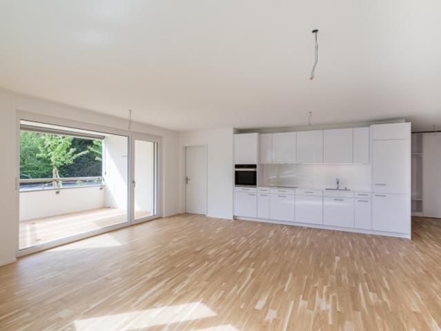 Wohnung mieten in Boniswil, Aargau
