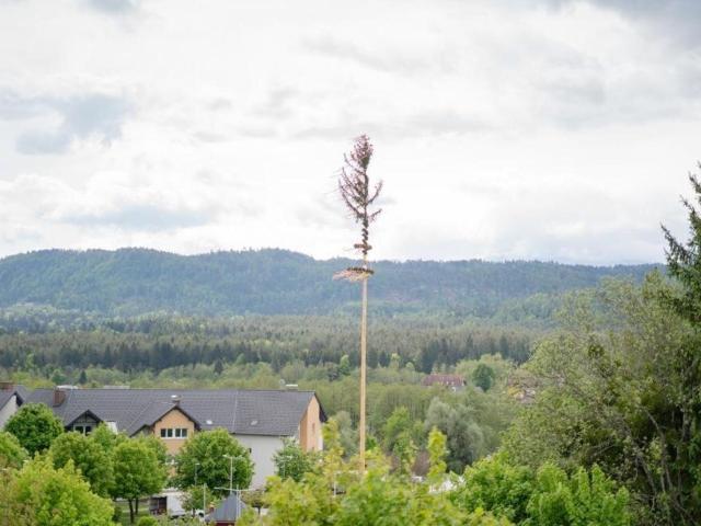 Wohnung mieten in Schiefling am Wörthersee, Kärnten