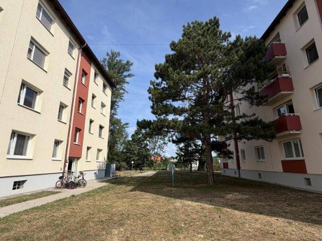 Apartment kaufen in Teesdorf, Niederösterreich