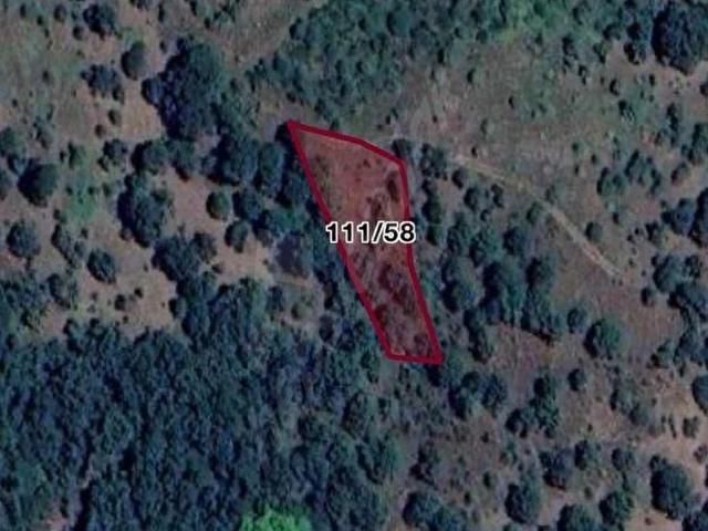 Asmalı, Çan içerisinde satılık Arsa