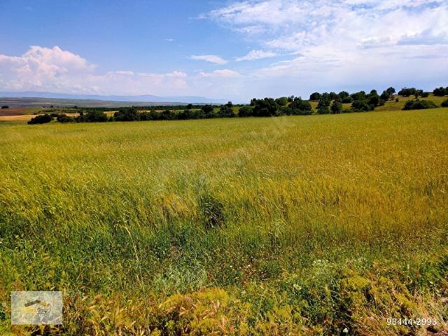 Gümele, Odunpazarı içerisinde satılık Arsa