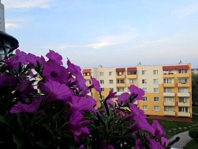 Mieszkanie na sprzedaż w Bydgoszcz, Kujawsko-pomorskie
