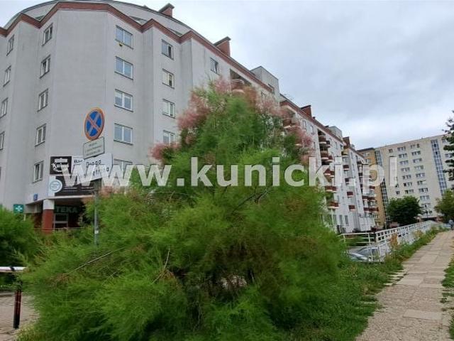 Mieszkanie do wynajęcia w Warszawa, Mazowieckie