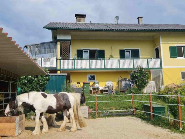 Einfamilienhaus kaufen in Gnas, Steiermark