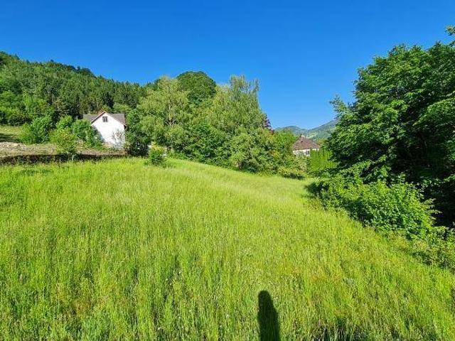 Immobilie kaufen in Losenstein, Oberösterreich