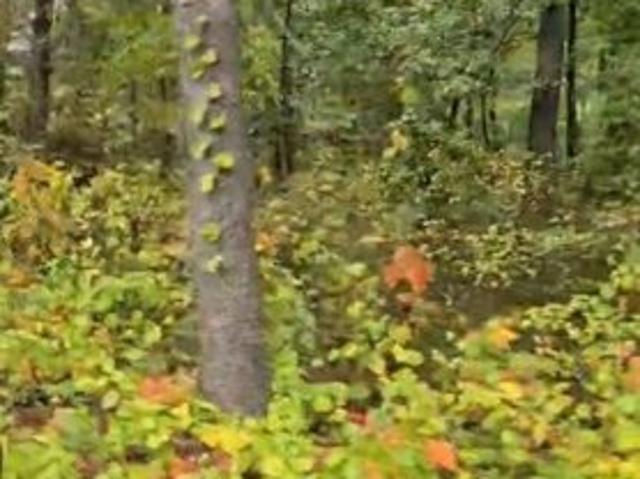 Land for sale in Millersville, Maryland