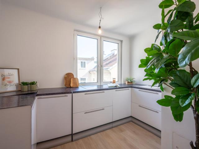 Wohnung kaufen in Seestadt, Wien